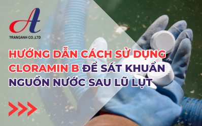 Việc sử dụng Cloramin B để sát khuẩn nguồn nước sau lũ lụt là một giải pháp hiệu quả và thiết yếu. Với sự hỗ trợ từ Công ty hóa chất Trang Anh, bạn không chỉ được cung cấp Cloramin B chất lượng cao mà còn nhận được những tư vấn chuyên sâu về cách sử dụng hóa chất đúng chuẩn. Hãy liên hệ với Trang Anh để đảm bảo nguồn nước sạch và an toàn cho gia đình bạn.